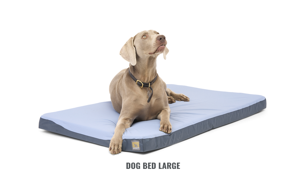 DOG BED