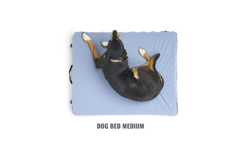 DOG BED