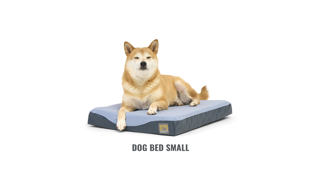 DOG BED