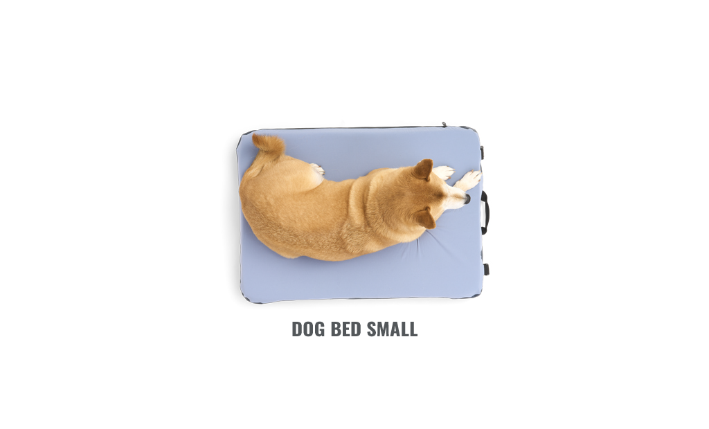 DOG BED